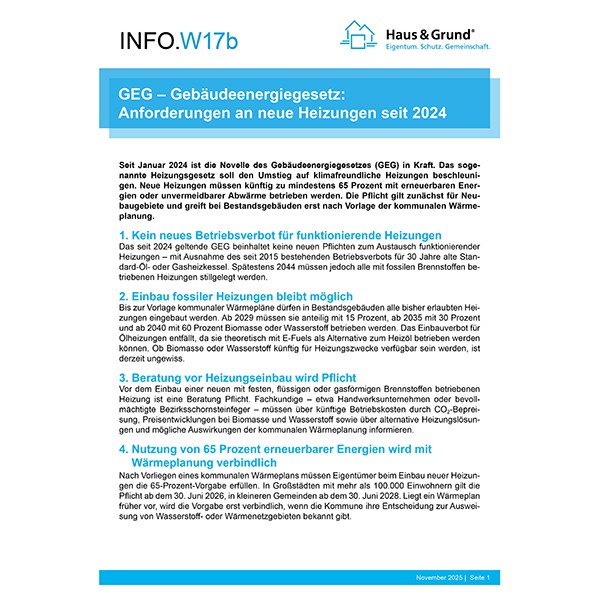 W17b GEG - Anforderungen an neue Heizungen
