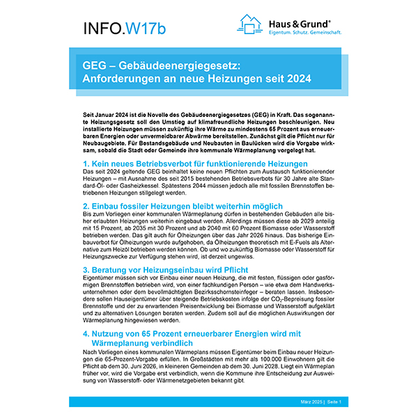 W17b GEG - Anforderungen an neue Heizungen