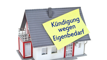 kundigung wegen eigenbedarf vermieter informationen