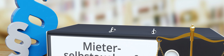 Mieterselbstauskunft Mieterselbstauskunft