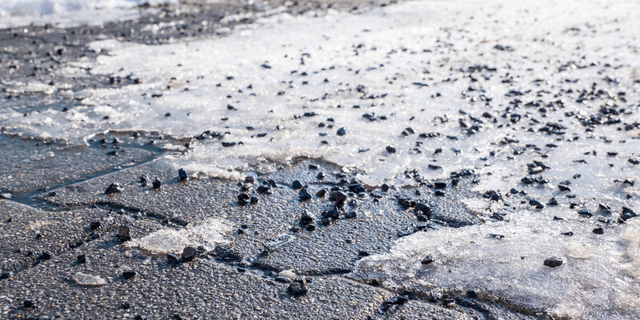 Animaflora PicsStock - stock.adobe.com LP Streupflicht