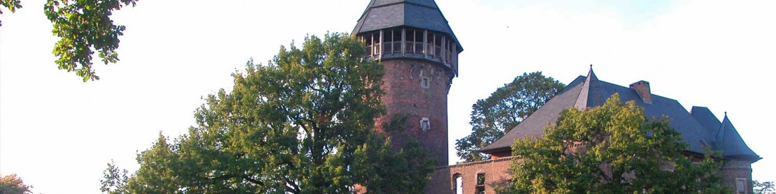 Burg Linn mit Wassergraben