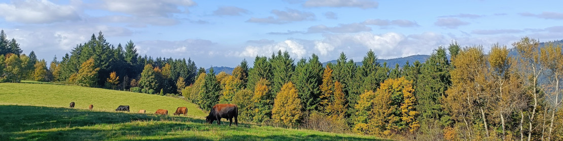 Herbst
