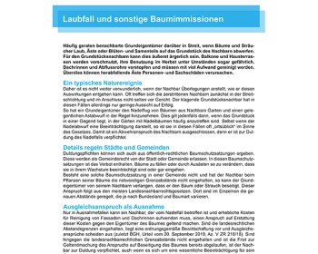 W01 Laubfall und sonstige Baumimmissionen