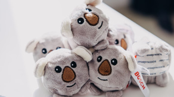 Kuscheltiere 