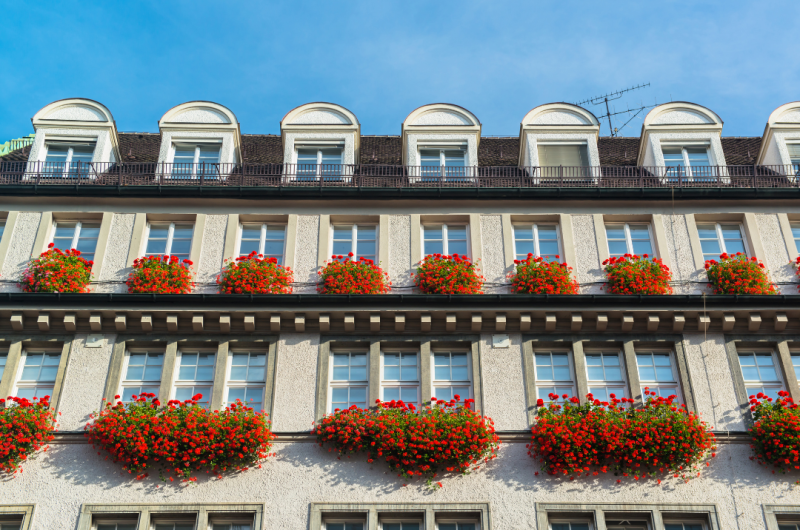 Hausfassade mit roten Blumen