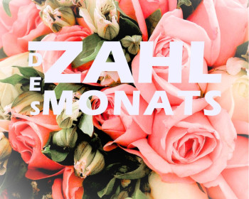 Zahl des Monats