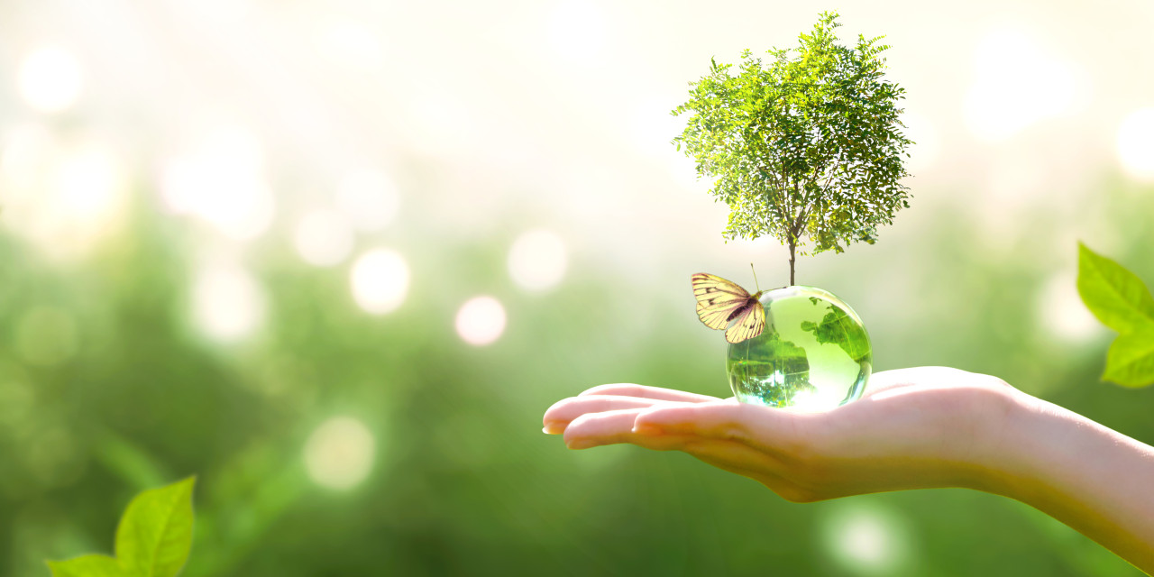 Klimawandel Klimawandel