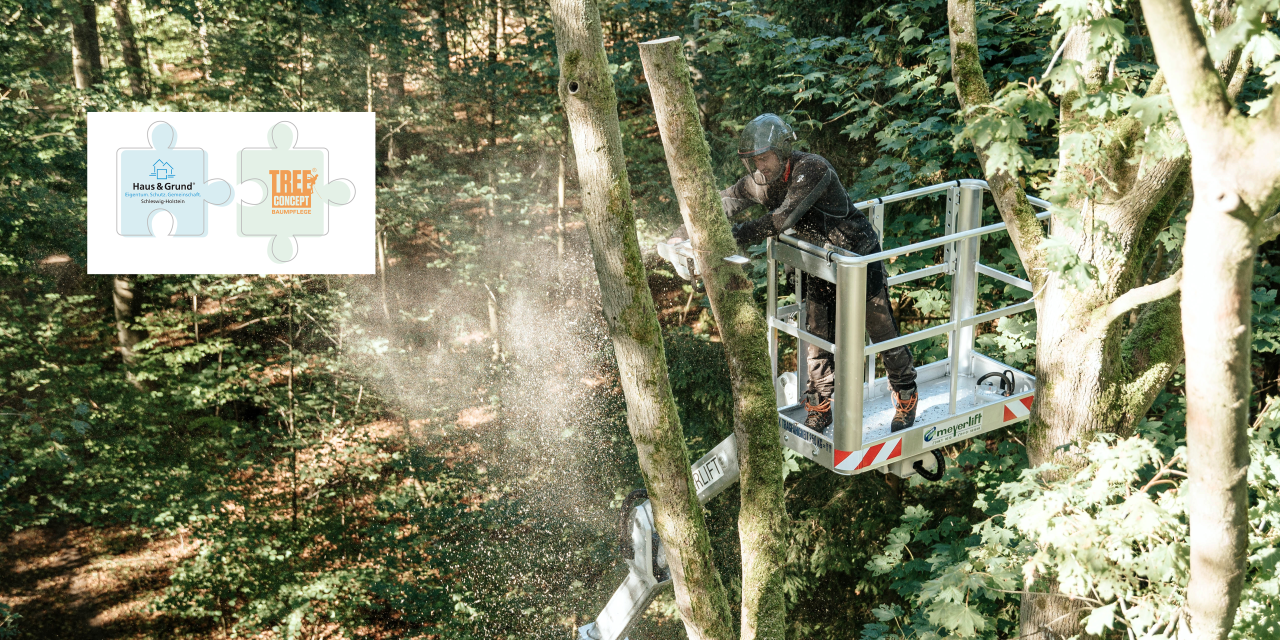 Header_Treeconcept Header_Treeconcept