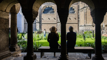 Bonner Münster Blühender Kreuzgang Bonner Münster Blühender Kreuzgang