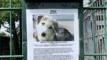 Tierheim Reka Tierheim Reka