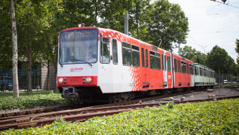 L 63 über Buschdorf nach Auerberg und Nordfriedhof L 63 über Buschdorf nach Auerberg und Nordfriedhof