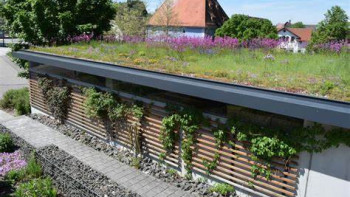 Wasserrückhaltende Gründächer Verbraucherzentrale NRW Wasserrückhaltende Gründächer Verbraucherzentrale NRW