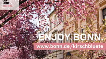 Werbung für die Kirschblüte Werbung für die Kirschblüte