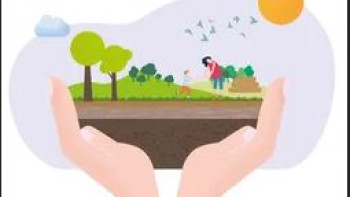 Grafik Klimaplan Bonn