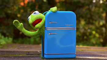 Kühlschrank hat Ferien Ausräumen kermit Kühlschrank hat Ferien Ausräumen kermit