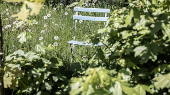Themenbild 2 Offene Gartenpforte Themenbild 2 Offene Gartenpforte