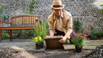 Themenfoto Abpflastern