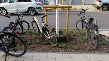 Räder im Pflanzbeet geparkt Foto Stadt Bon