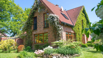 kletterpflanzen-am-einfamilienhaus