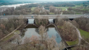 Rheinauensee 4 Blick auf Brücke