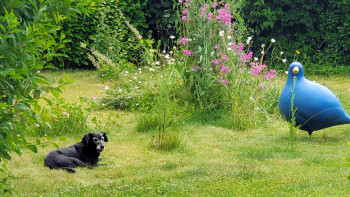 Themenbild Offene Gartenpforte