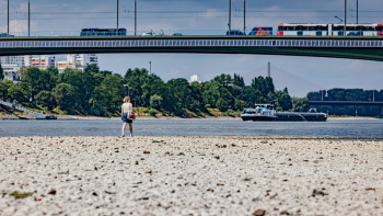 NIEDRIGWASSER BONN SCHIFFFAHRT