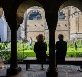 Bonner Münster Blühender Kreuzgang