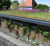 Wasserrückhaltende Gründächer Verbraucherzentrale NRW