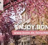 Werbung für die Kirschblüte
