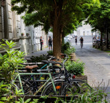 Buckelpiste Oppenhoffstraße
