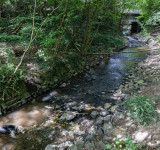 Godesberger Bach