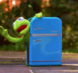 Kühlschrank hat Ferien Ausräumen kermit