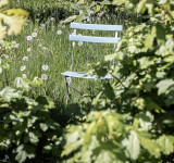 Themenbild 2 Offene Gartenpforte