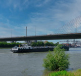 Nordbrücke mit Rhein