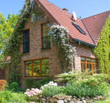 kletterpflanzen-am-einfamilienhaus