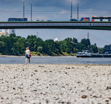 NIEDRIGWASSER BONN SCHIFFFAHRT