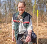 Stadtförsterin mit Setzling Aufforstung-Waldau