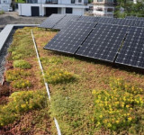 Begruenung-mit-Solaranlage