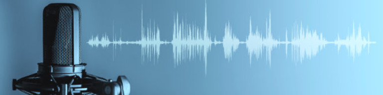 Podcast für Eigentümer Podcastmikrofon
