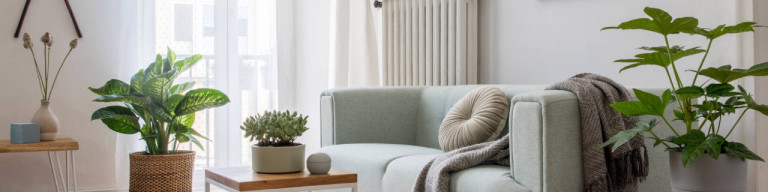 Wohnzimmer mit Sofa und Pflanzen