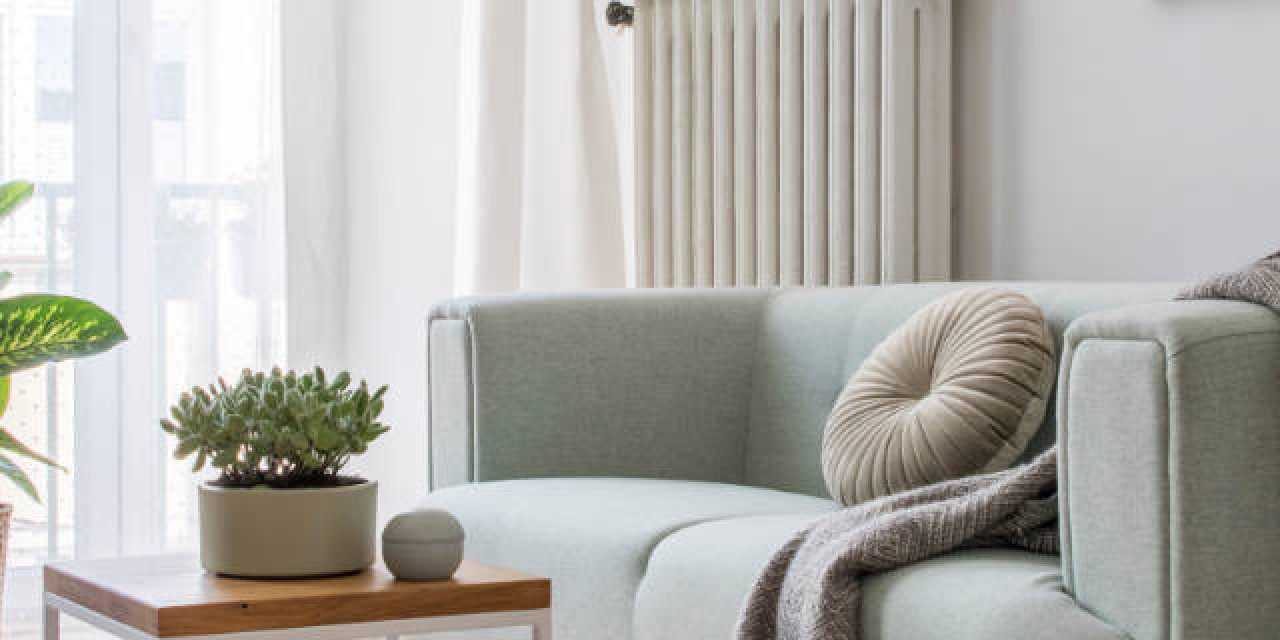 Wohnzimmer mit Sofa und Pflanzen