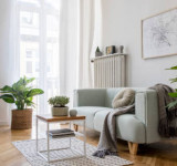 Wohnzimmer mit Sofa und Pflanzen