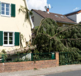 Umgestürzter Baum in Vorgarten