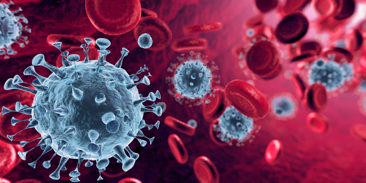 Romolo Tavani - stock.adobe.com Corona-Virus