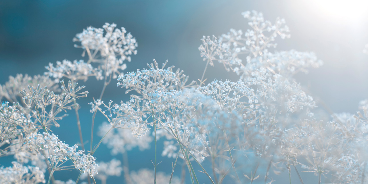 Winter in Gelsenkirchen