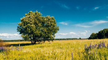 vitaliy-gavrushchenko