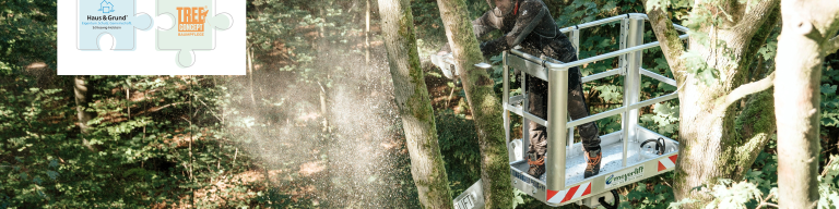 Header_Treeconcept