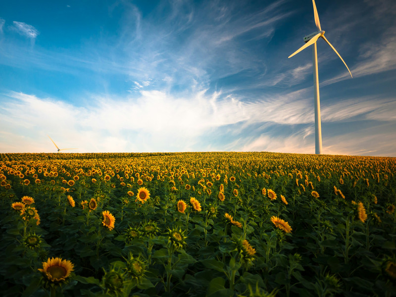 Erneuerbare Energien