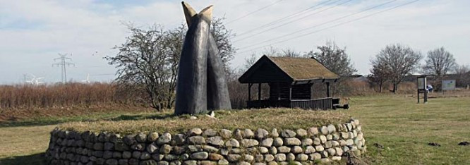 Kropp